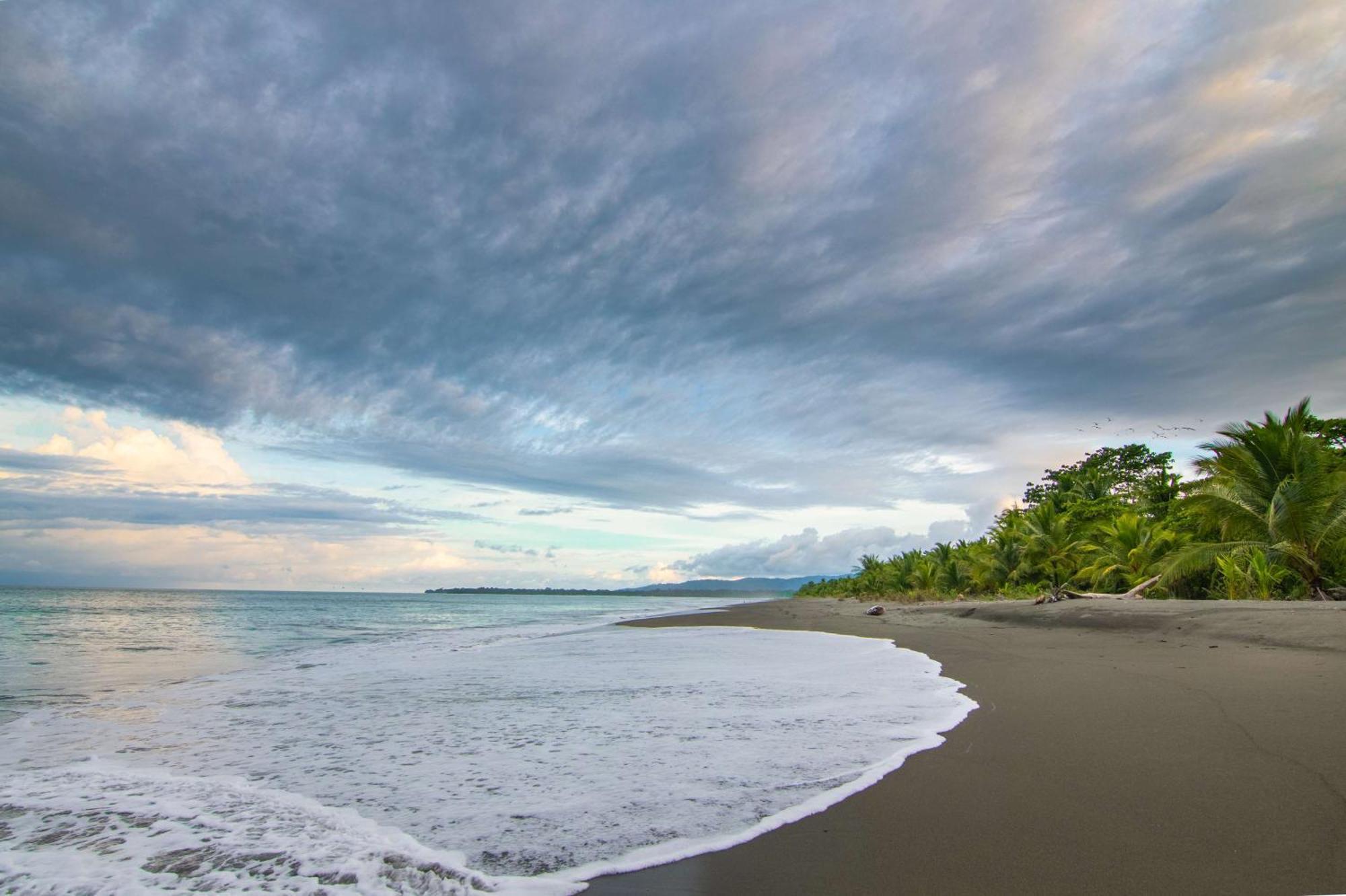 Botanika Osa Peninsula, Curio Collection By Hilton Hotel Puerto Jiménez Екстериор снимка