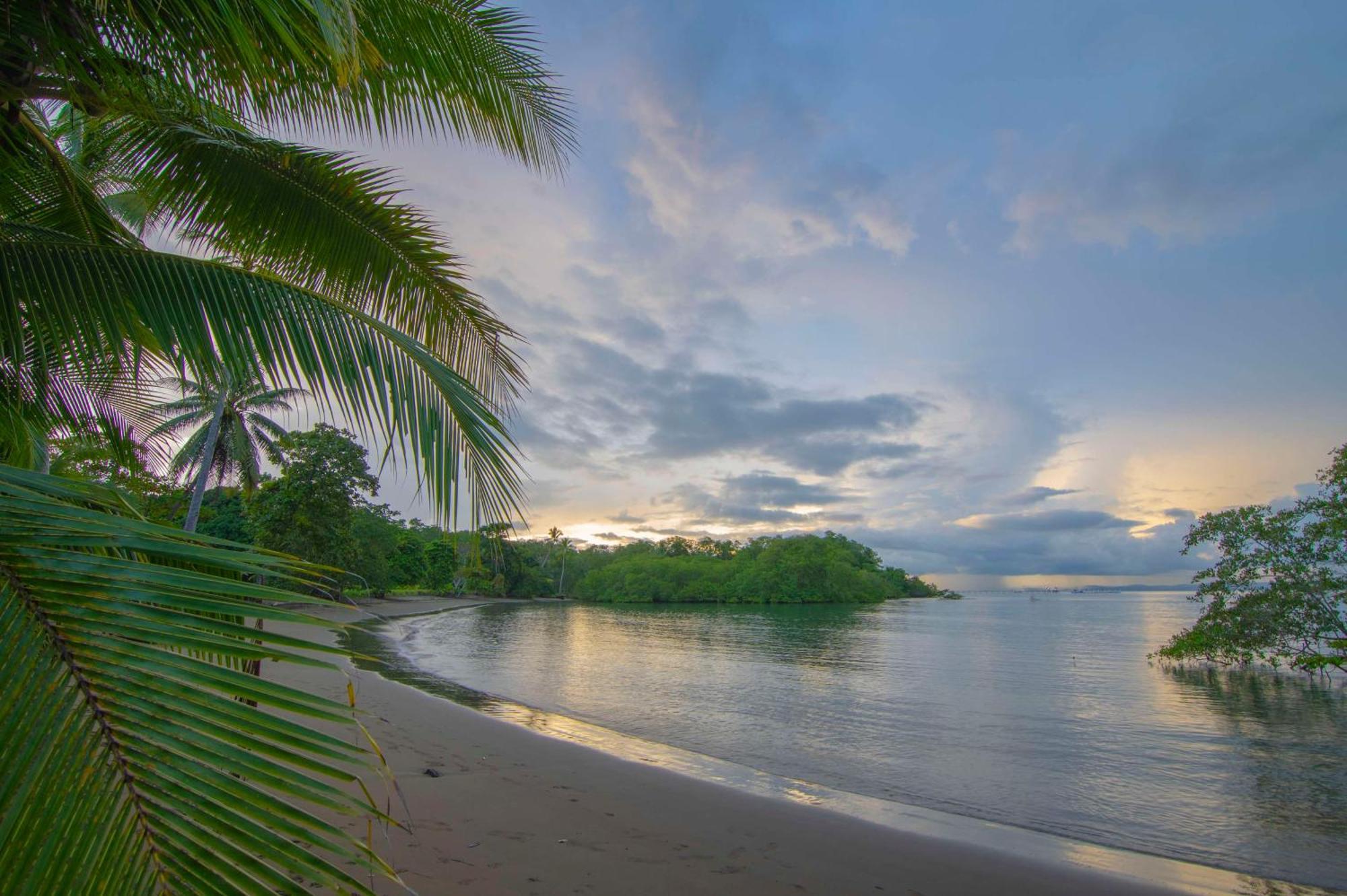 Botanika Osa Peninsula, Curio Collection By Hilton Hotel Puerto Jiménez Екстериор снимка
